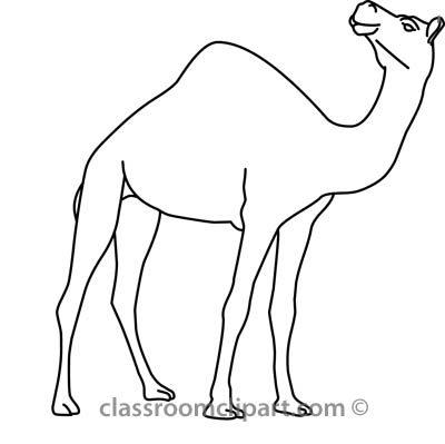 Animals   Camel 31412 07 Outline   Classroom Clipart