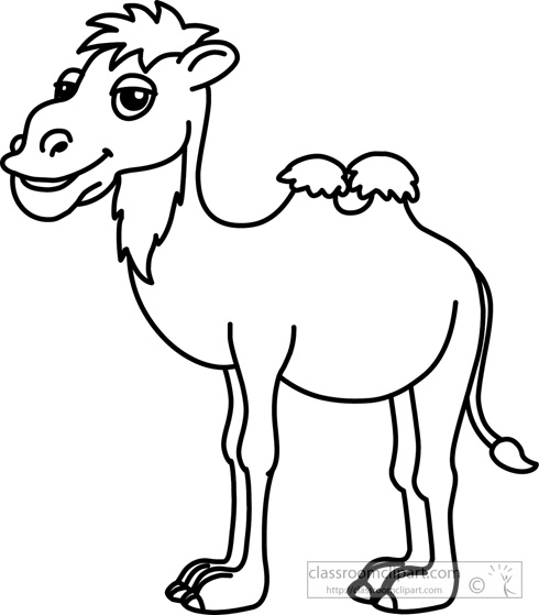 Animals   Camel Black White Outline 910   Classroom Clipart