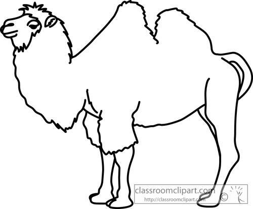 Animals   Camel Outline 630   Classroom Clipart
