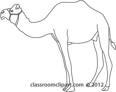 Animals   Dromedary Camel Outline 212   Classroom Clipart