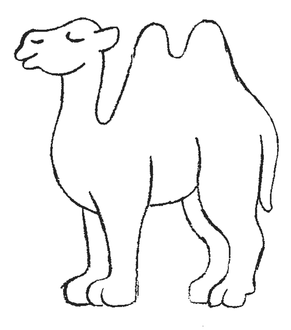 Camel By Kawarbir Post Navigation Camel Colouring In Camel Colouring    