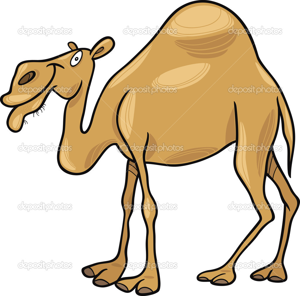 Camel Heads Clipart   Cliparthut   Free Clipart