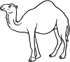 Camel Outline For Address Labels Or Rubber Stamps