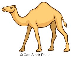 Camel   The Vector Camel On White Background