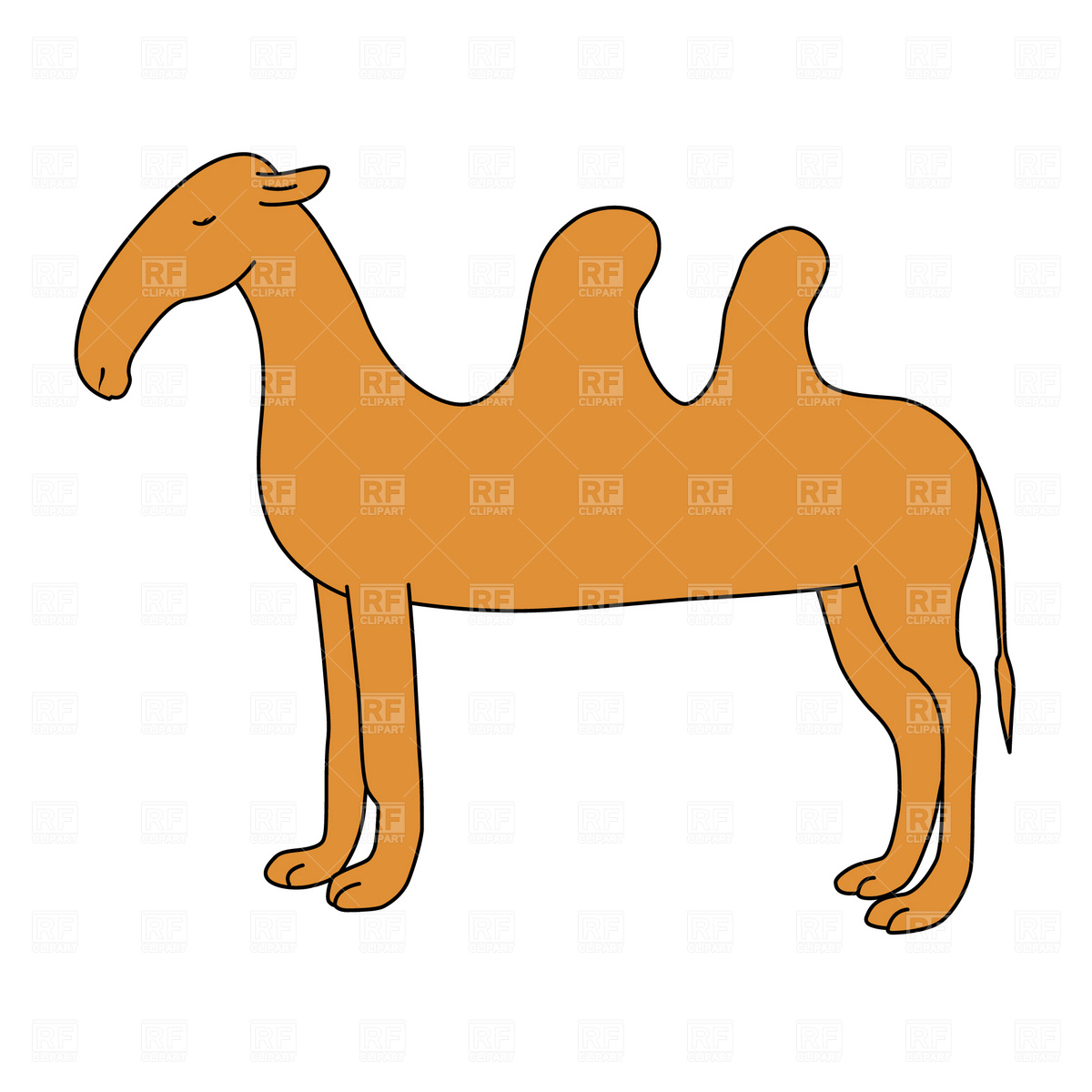 Cartoon Two Humped Camel Download Royalty Free Vector Clipart  Eps 