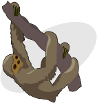 Clipart Sloth