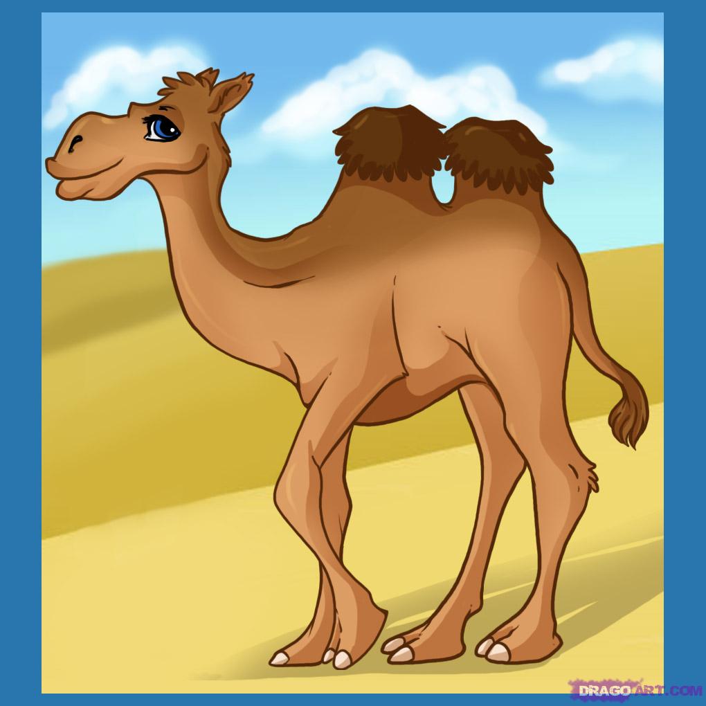 Drawing Lesson   Draw Camel   Nano Smart Blog