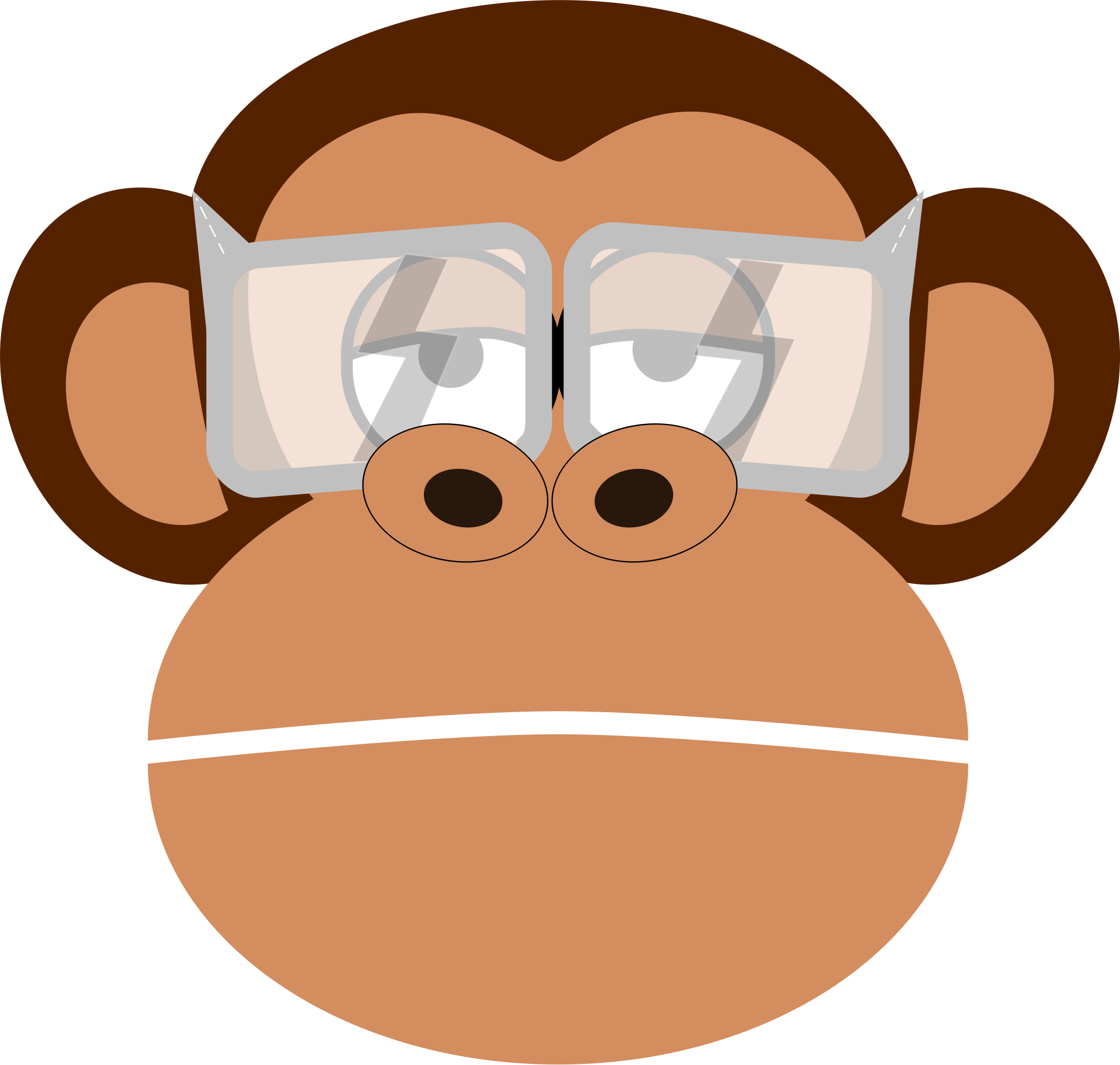 Eye Protection Monkey By Nikos K