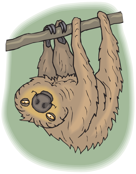 Happy Hanging Sloth Clip Art At Clker Com   Vector Clip Art Online    