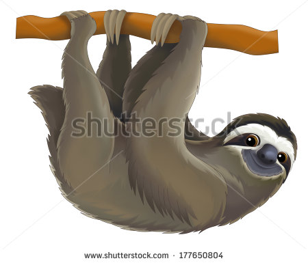 Sloth Face Clip Art Cartoon Animal   Sloth