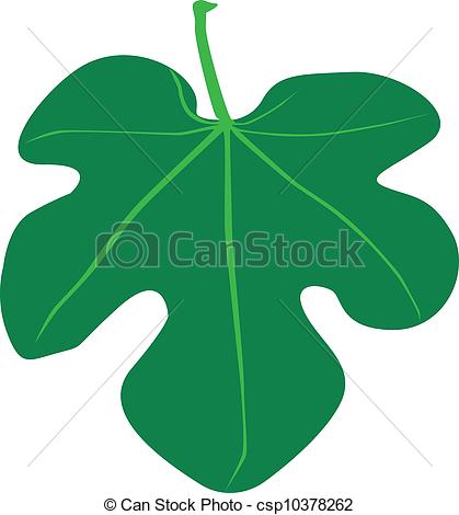 Art Vector Of Fig Leaf   Fig Leaf Vector Csp10378262   Search Clipart