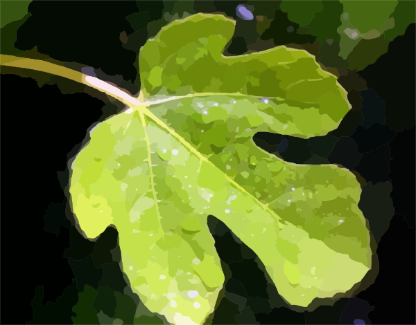 Fig Leaf Clip Art At Clker Com   Vector Clip Art Online Royalty Free