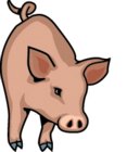 Porky Pig Clipart