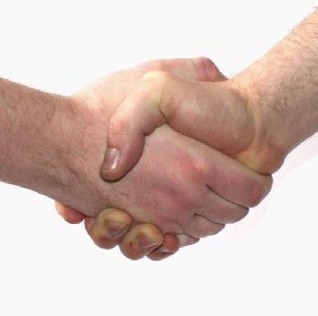 Sign Of Peace  To Shake Hands Or Not Shake Hands That Is The Question    