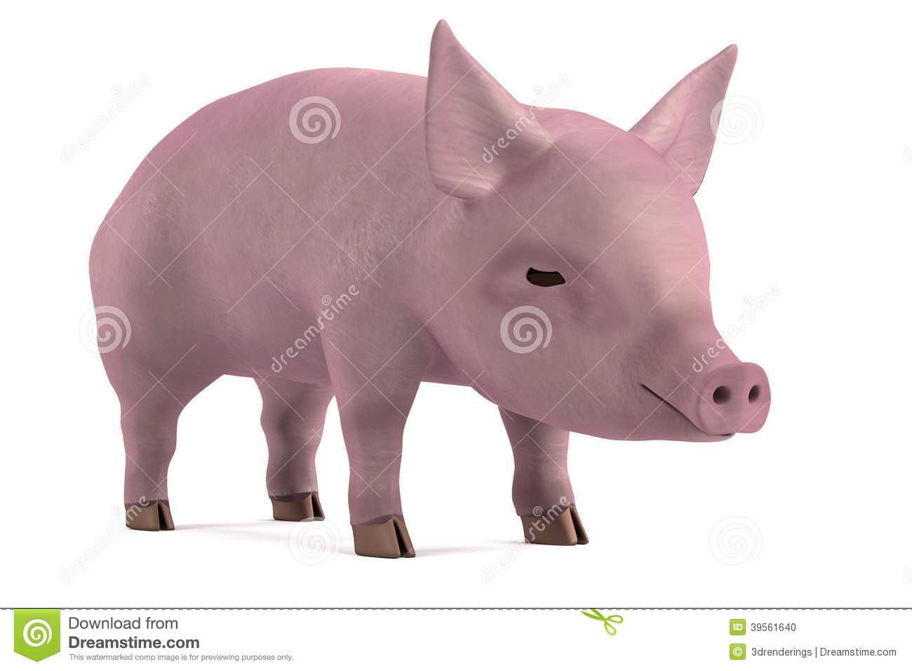 3d Render Of Little Pig Stock Illustration   Image  39561640