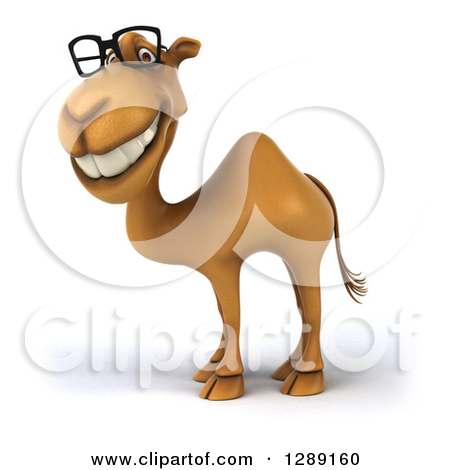 Clipart Of A 3d Bespectacled Camel Facing Left And Smiling   Royalty