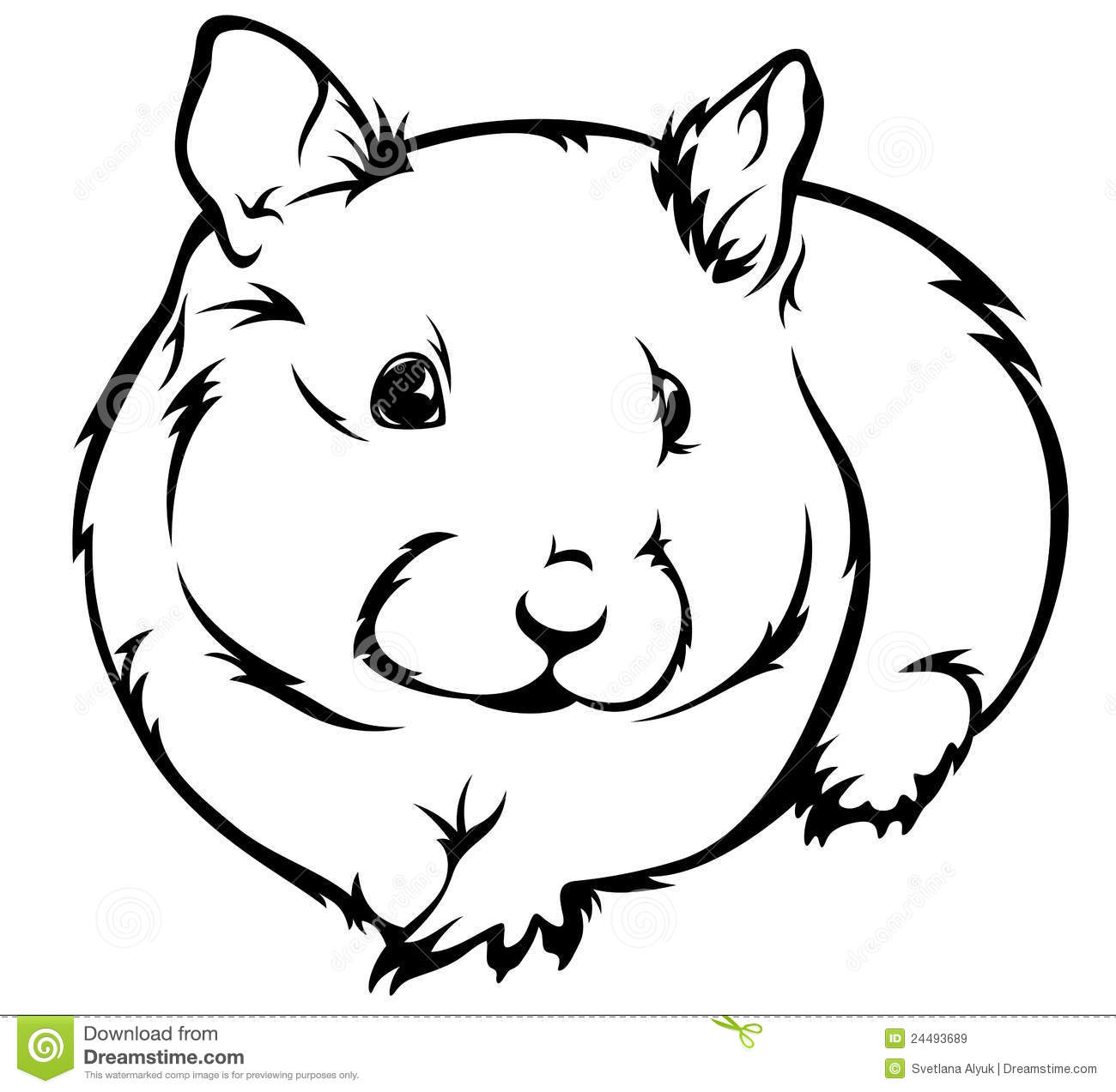 Cute Hamster  Cricetus  Illustration   Black And White Outline