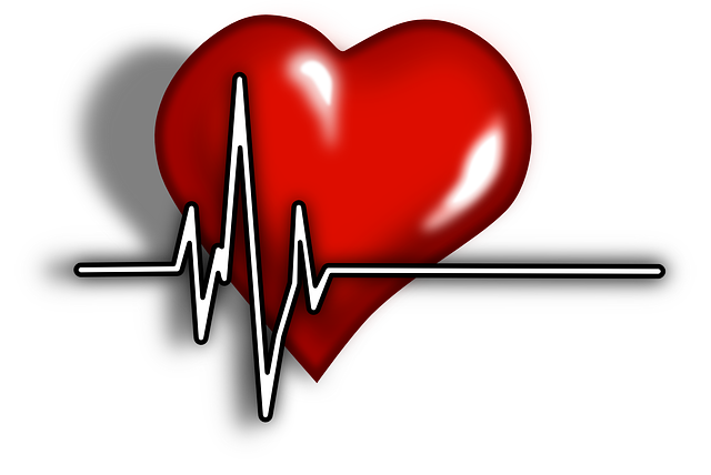 Dem Herzinfarkt Vorbeugen   Apotheken Wissen De