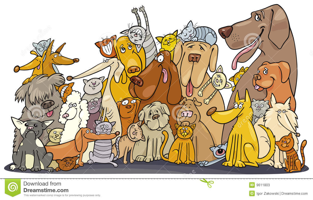 Huge Group Of Cats And Dogs Stock Photos   Image  9611803