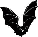 Vector Vampire Bat Vampire Bat Vampirus Spectrum Vintage Illustration