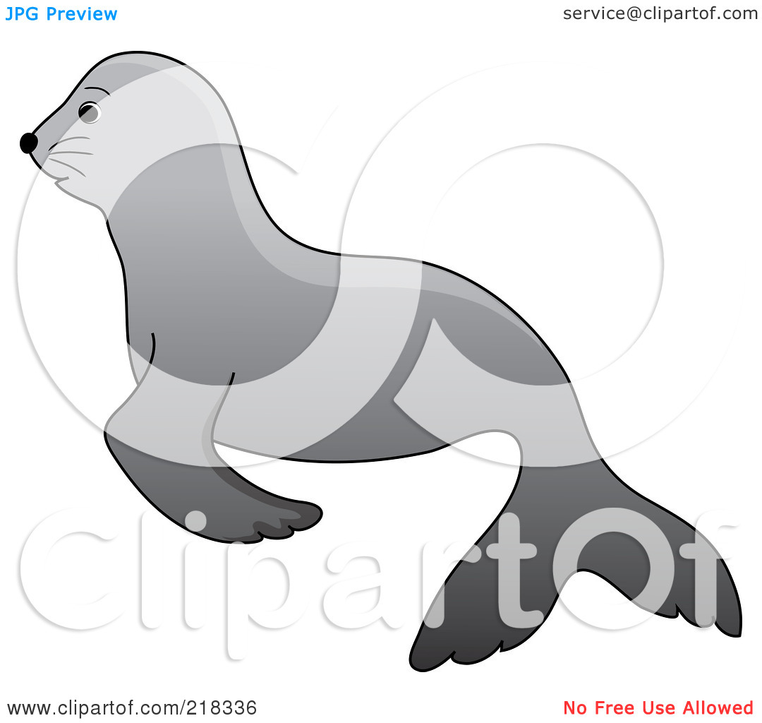 Free  Rf  Clipart Illustration Of A Cute Gray Baby Seal In Profile