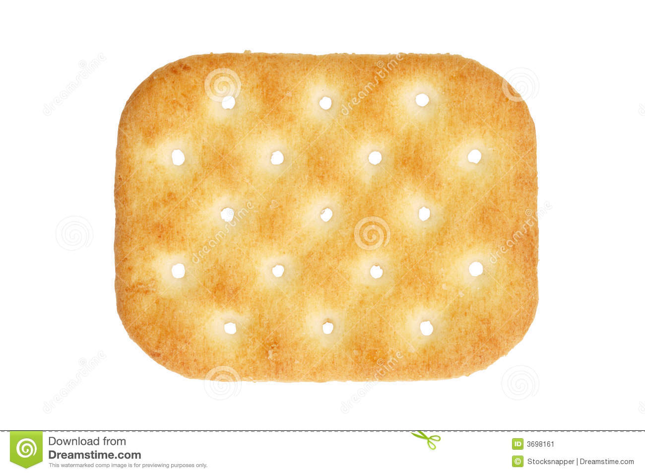 Salty Cracker Stock Image   Image  3698161