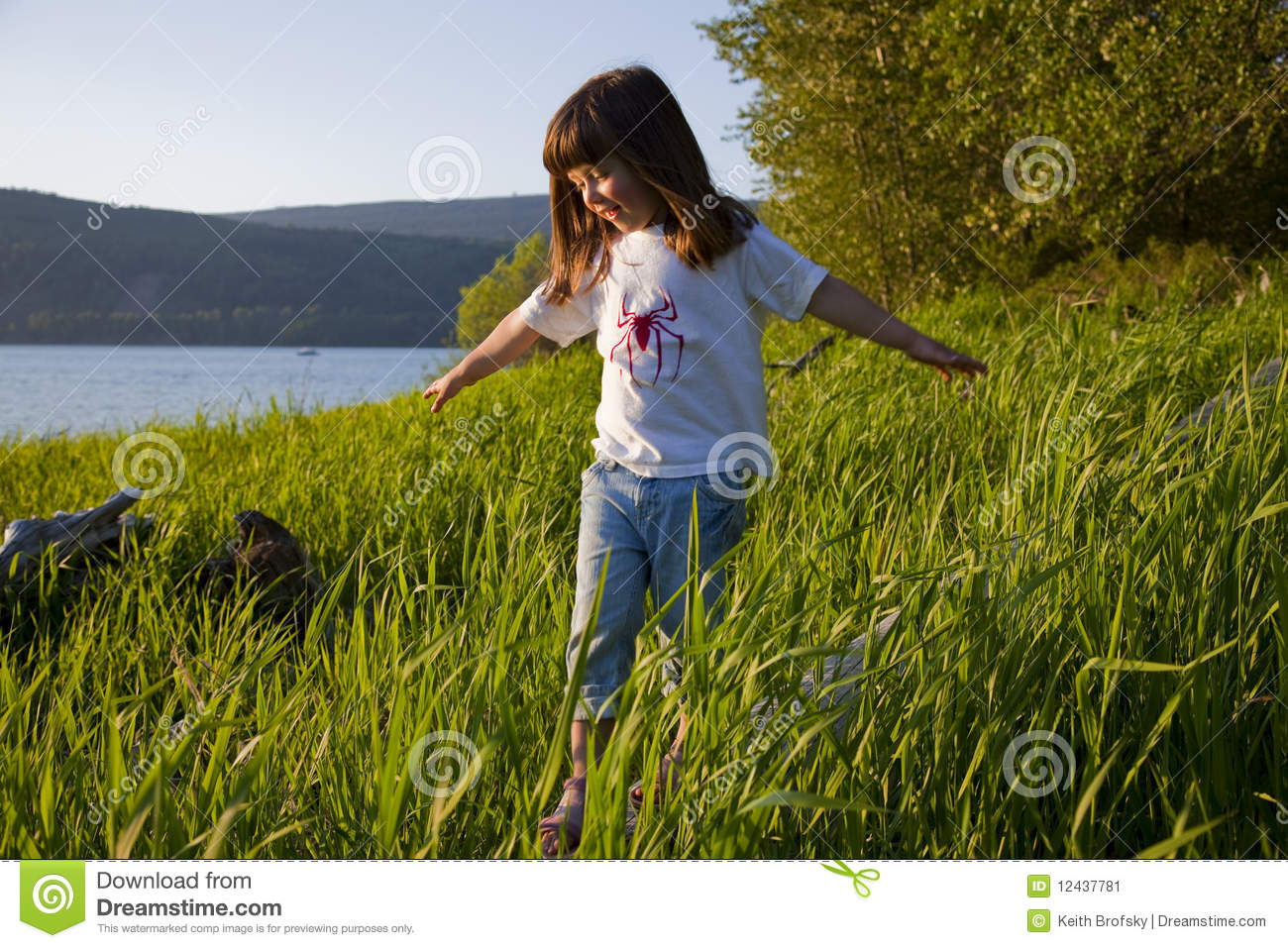 Tall Grass Image Search Results Picture