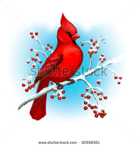 Winter Cardinal Clipart Cardinal Bird Winter Art