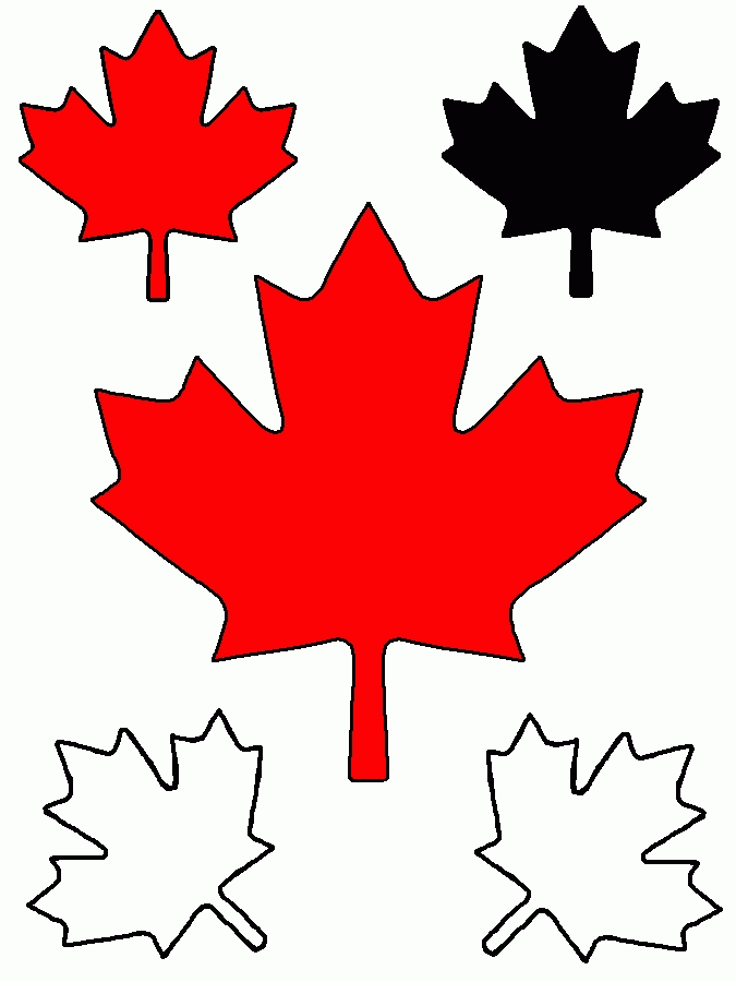 Canadian Maple Leaf Clip Art   Clipart Best