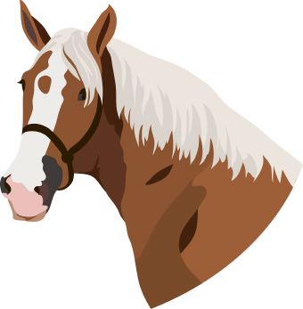 Clip Art Of Face Of A Brown Horse With White Mane In Profile 