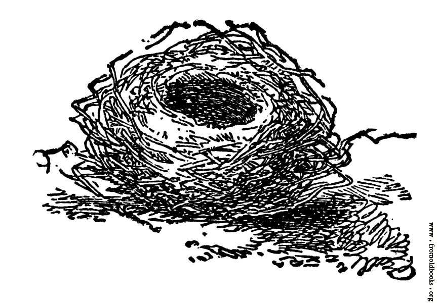 Eagle Nest Clipart The Eagle 39 S Nest From The