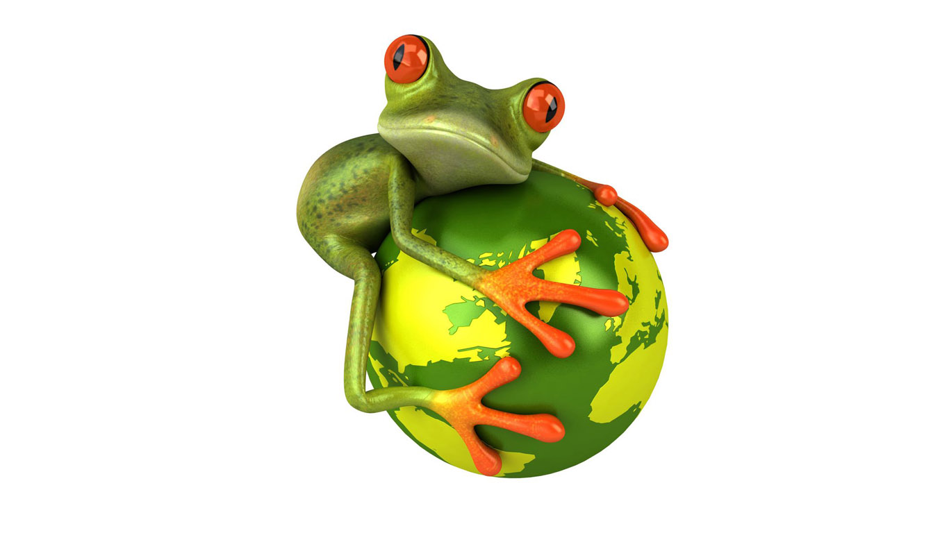Funny Frog   Clipart Best