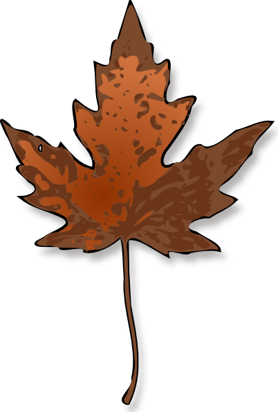 Maple Leaf Clip Art At Clker Com   Vector Clip Art Online Royalty    