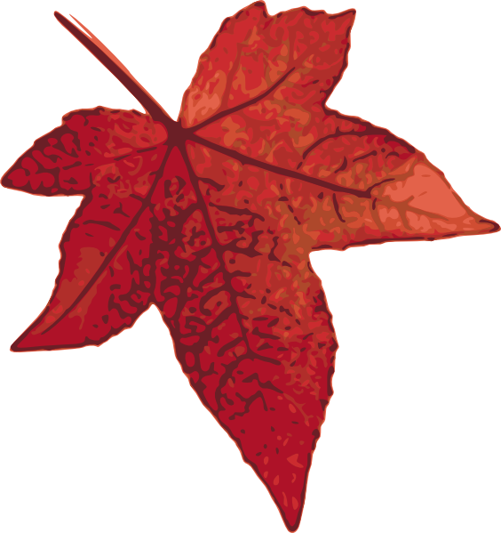 Red Maple Leaf Clip Art At Clker Com   Vector Clip Art Online Royalty