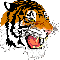 Tiger Clipart  Free Graphics Images And Pictures Of Cartoon And