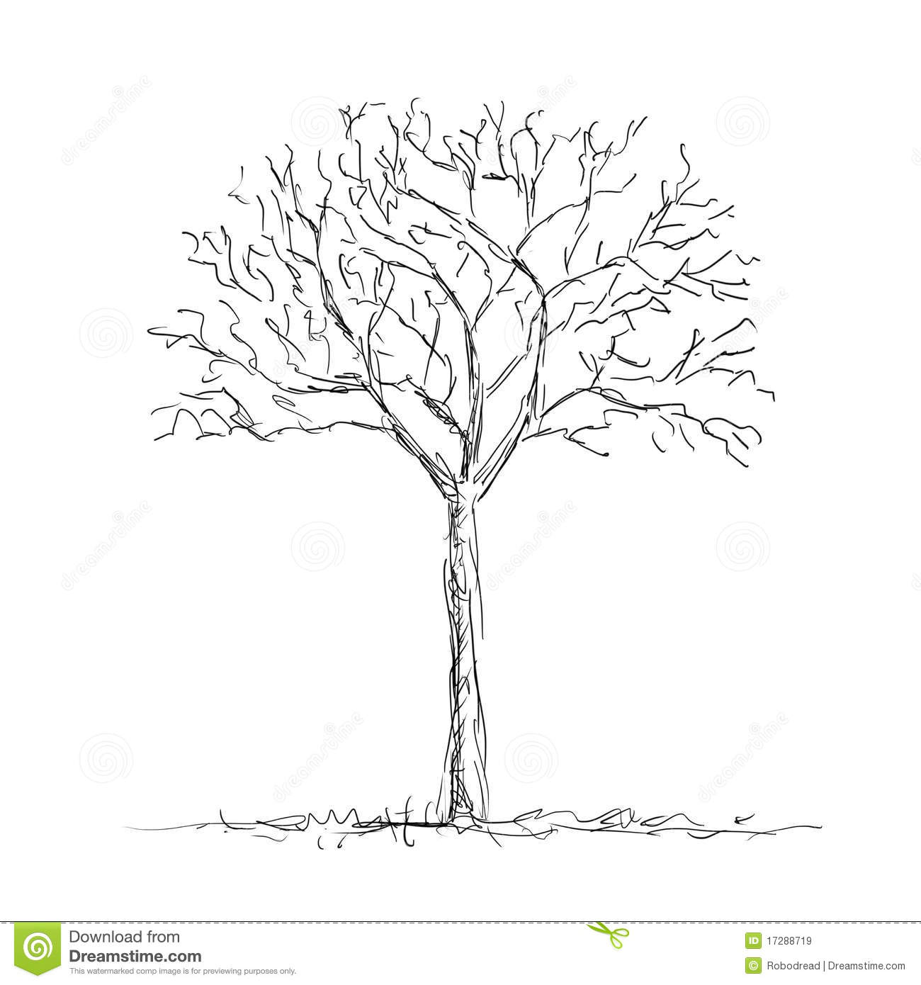 Bare Tree Royalty Free Stock Images   Image  17288719