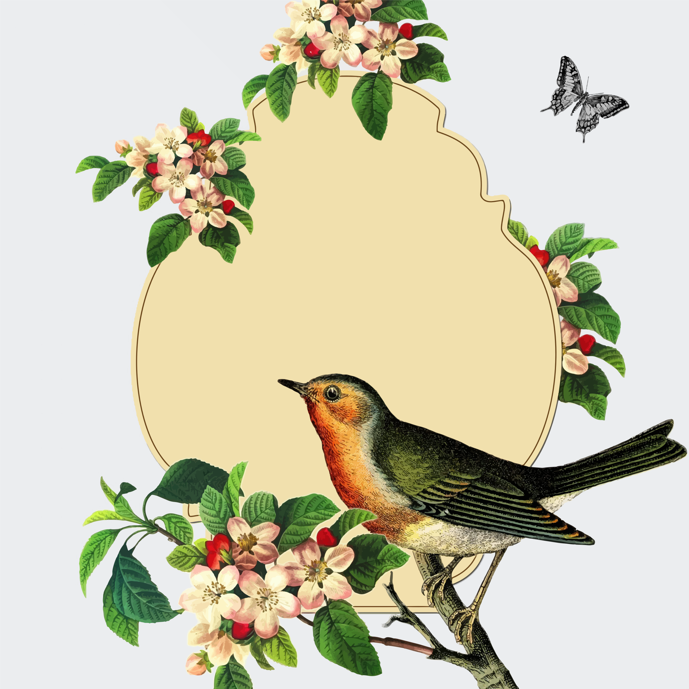 Clipart   Vintage Bird With Apple Blossom