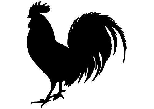 Free Rooster Pictures To Print   Roosters Original Paintings Art For
