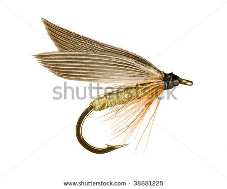 Grey Winged Olive Wet Trout Fishing Fly Isolated On White Background