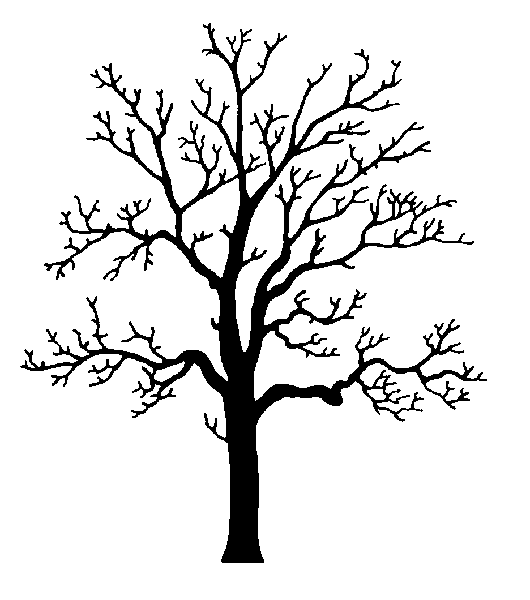 Oak Tree Silhouette Clip Art   Clipart Best