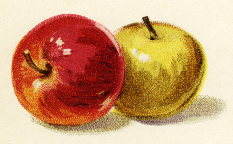 Red Apple Yellow Apple Free Vintage Fruit Clipart Antique