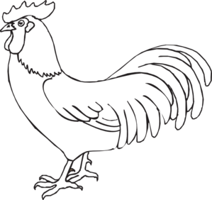 Rooster Black And White Clipart Rooster Outline Clip Art