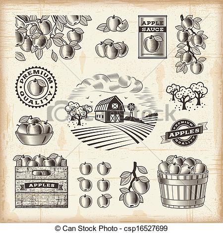 Vectors Of Vintage Apple Harvest Set   A Set Of Fully Editable Vintage