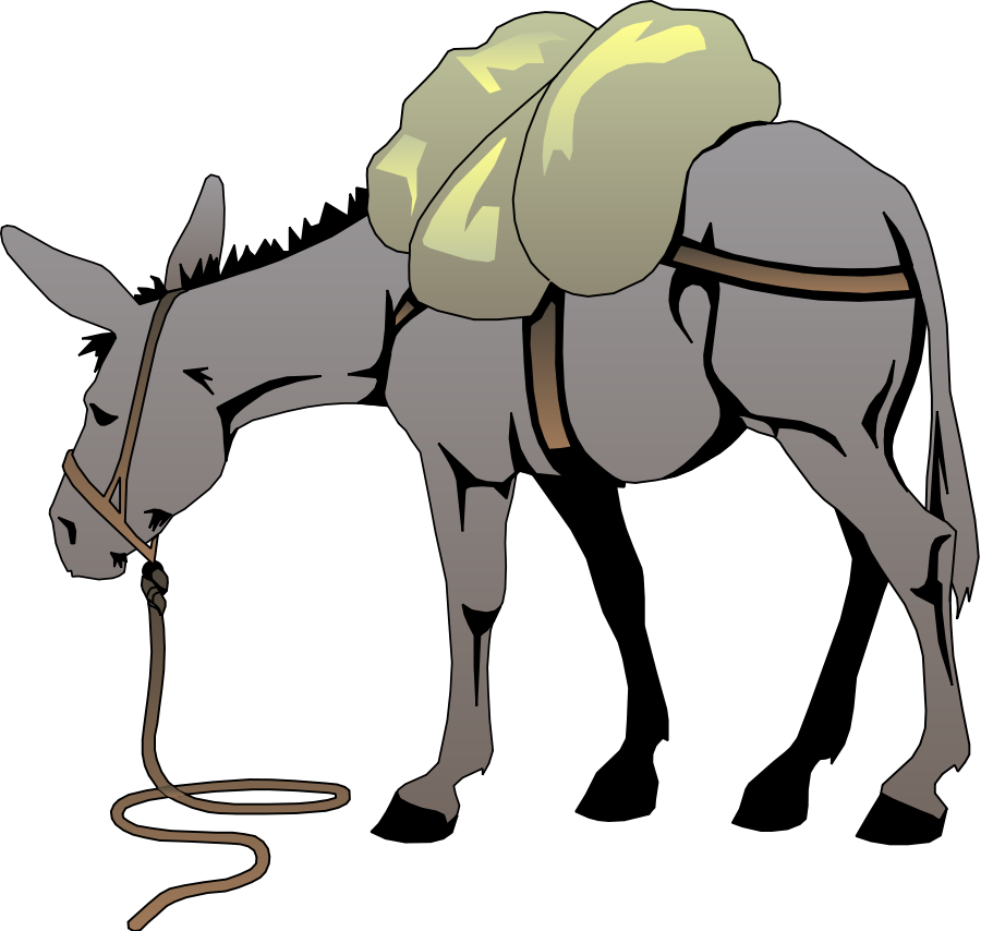 Donkey Clipart  Donkey