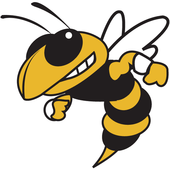 Georgia Tech Yellow Jackets Alternate Logo  1991    A Bee Swarming