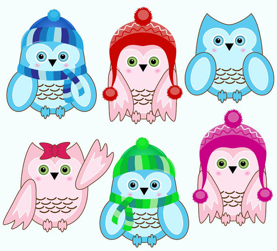 Sale   Winter Owls Clip Art For Commercial And Personal Use  Ca17