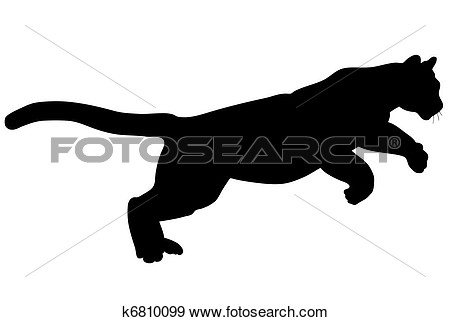 Stock Illustration   Wildcat  Fotosearch   Search Vector Clipart