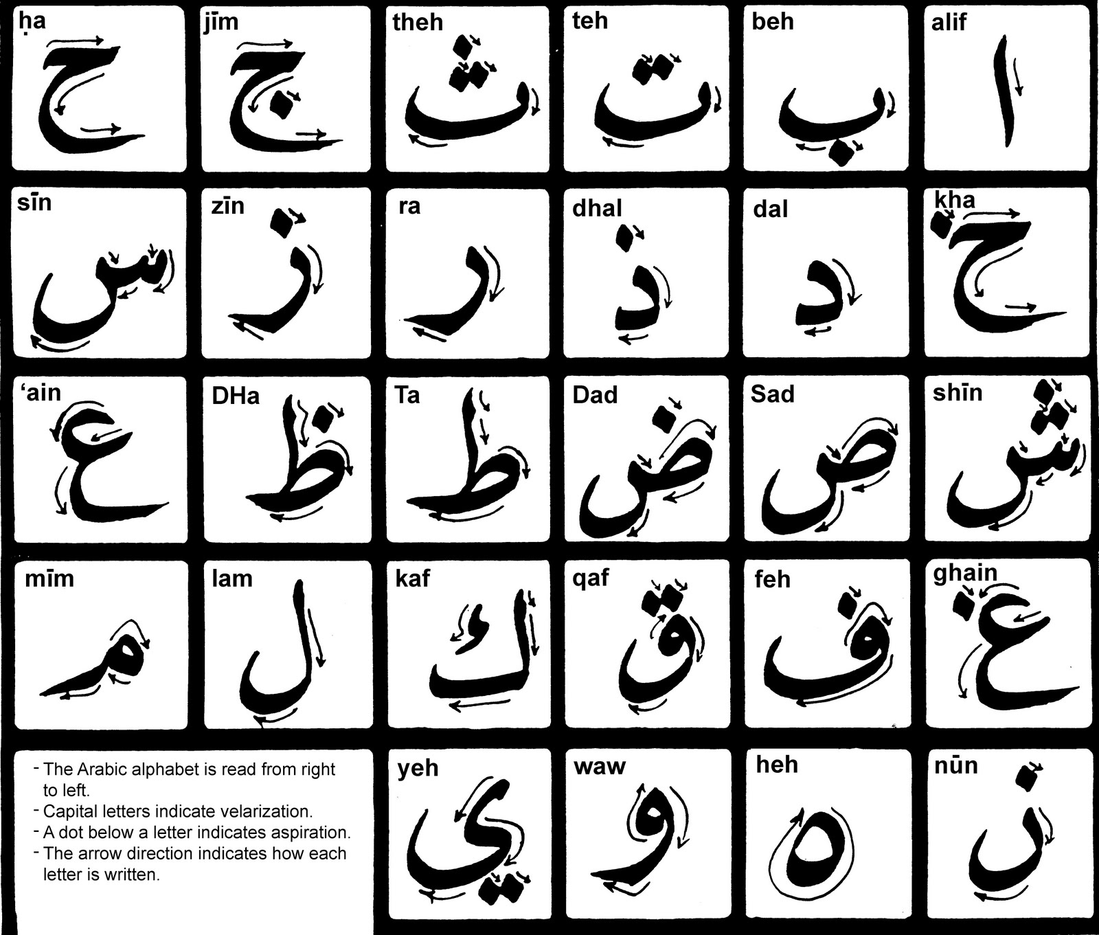 Anthropology 1200  Writing In Arabic