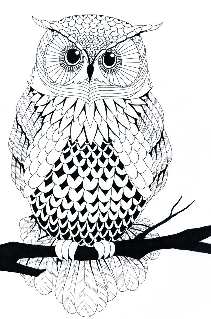 Black And White Owl By Zakariaseatworld On Deviantart
