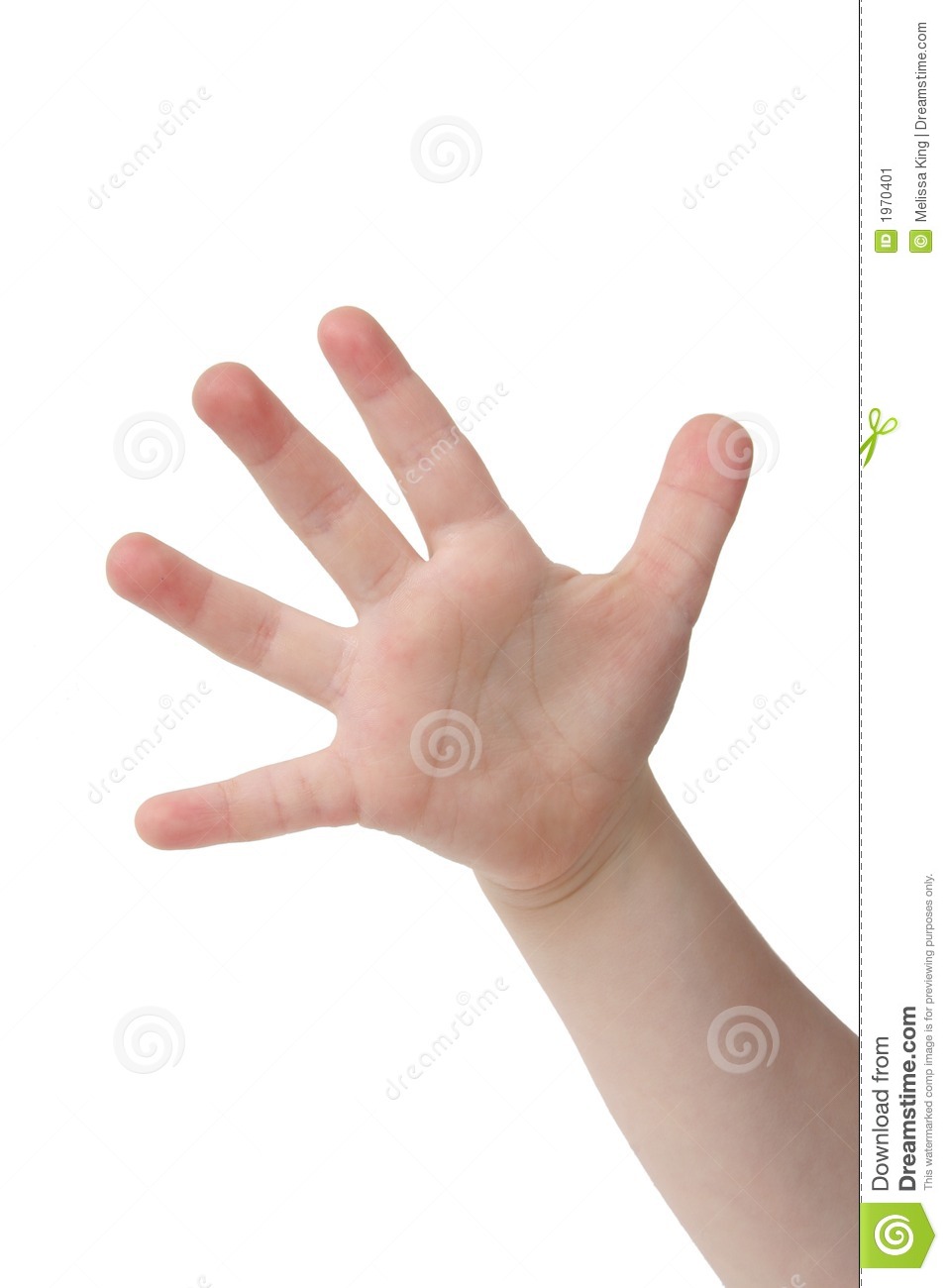 Five Fingers Stock Image   Image  1970401